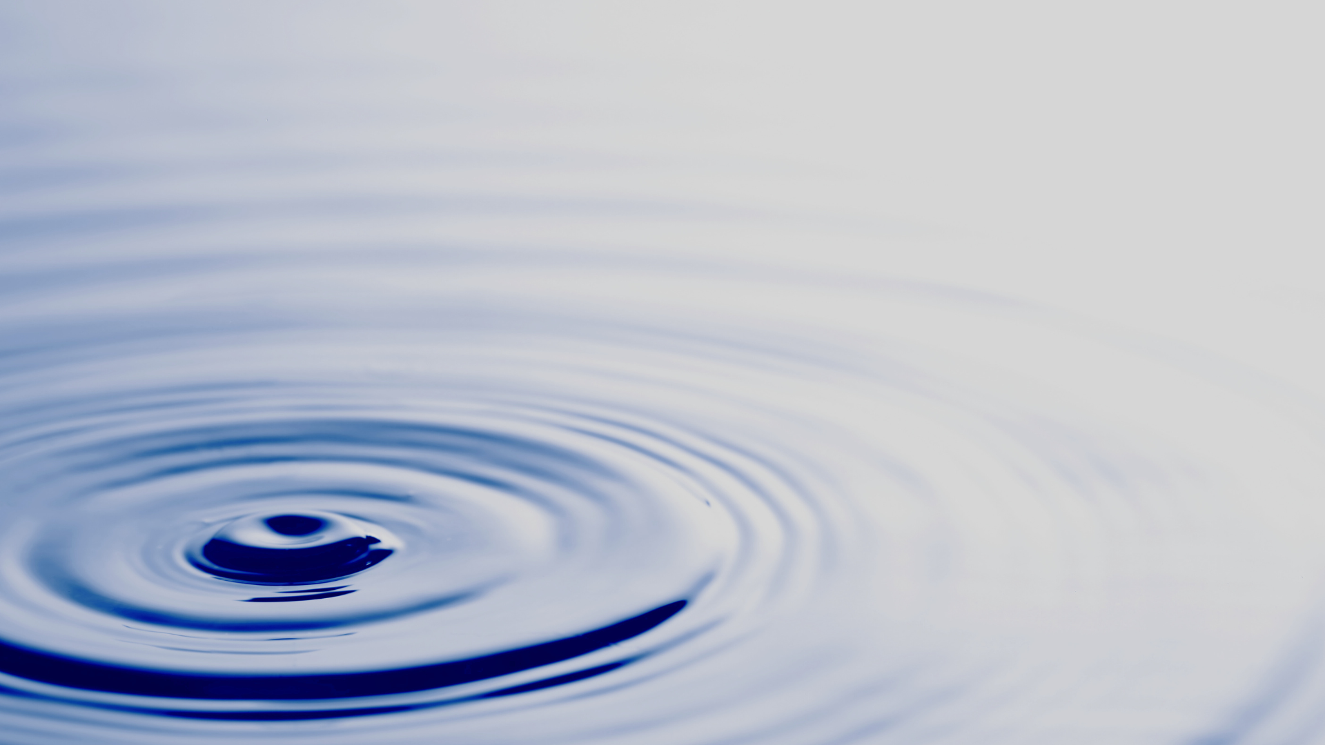 interior banner image