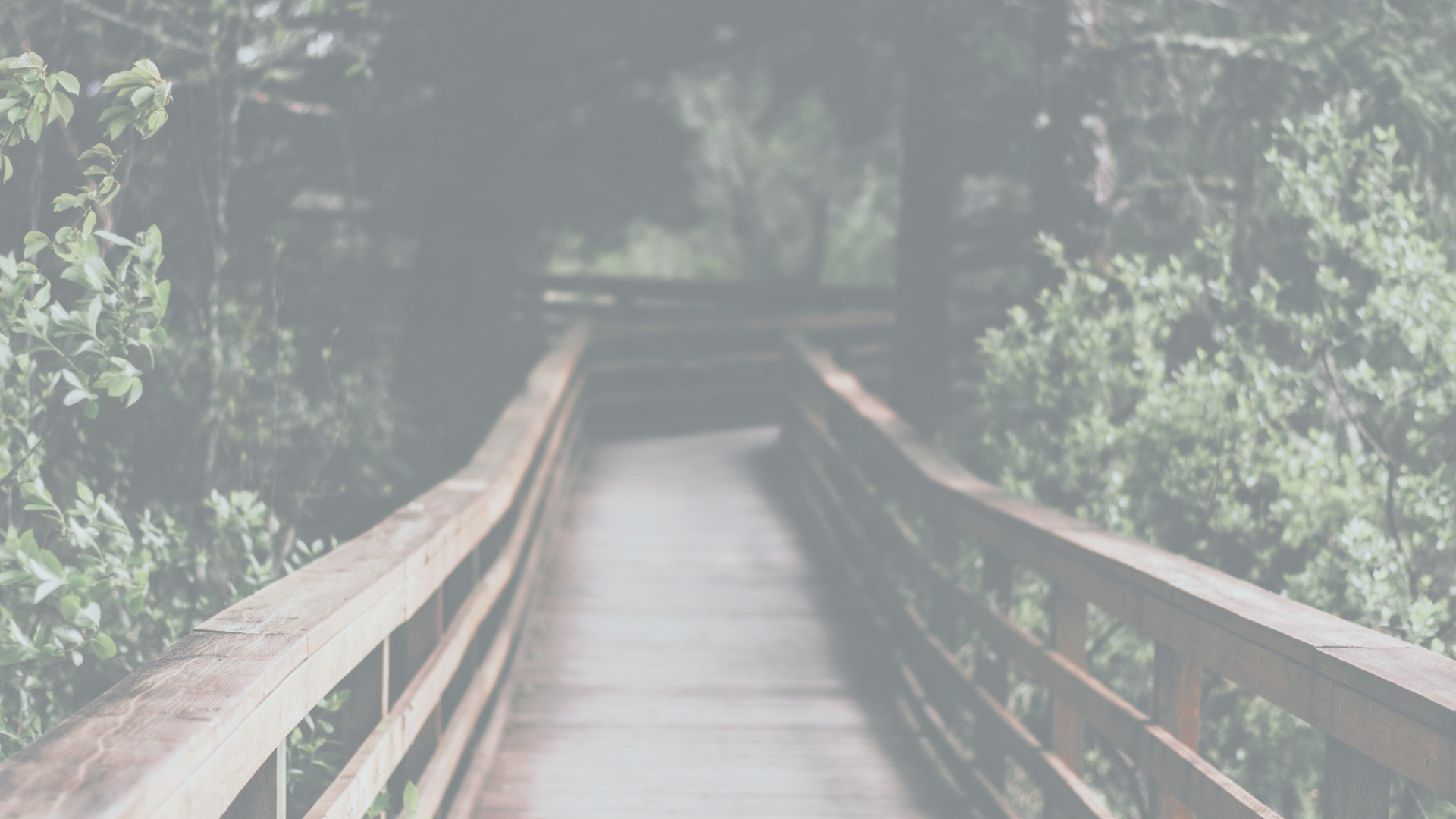 interior banner image