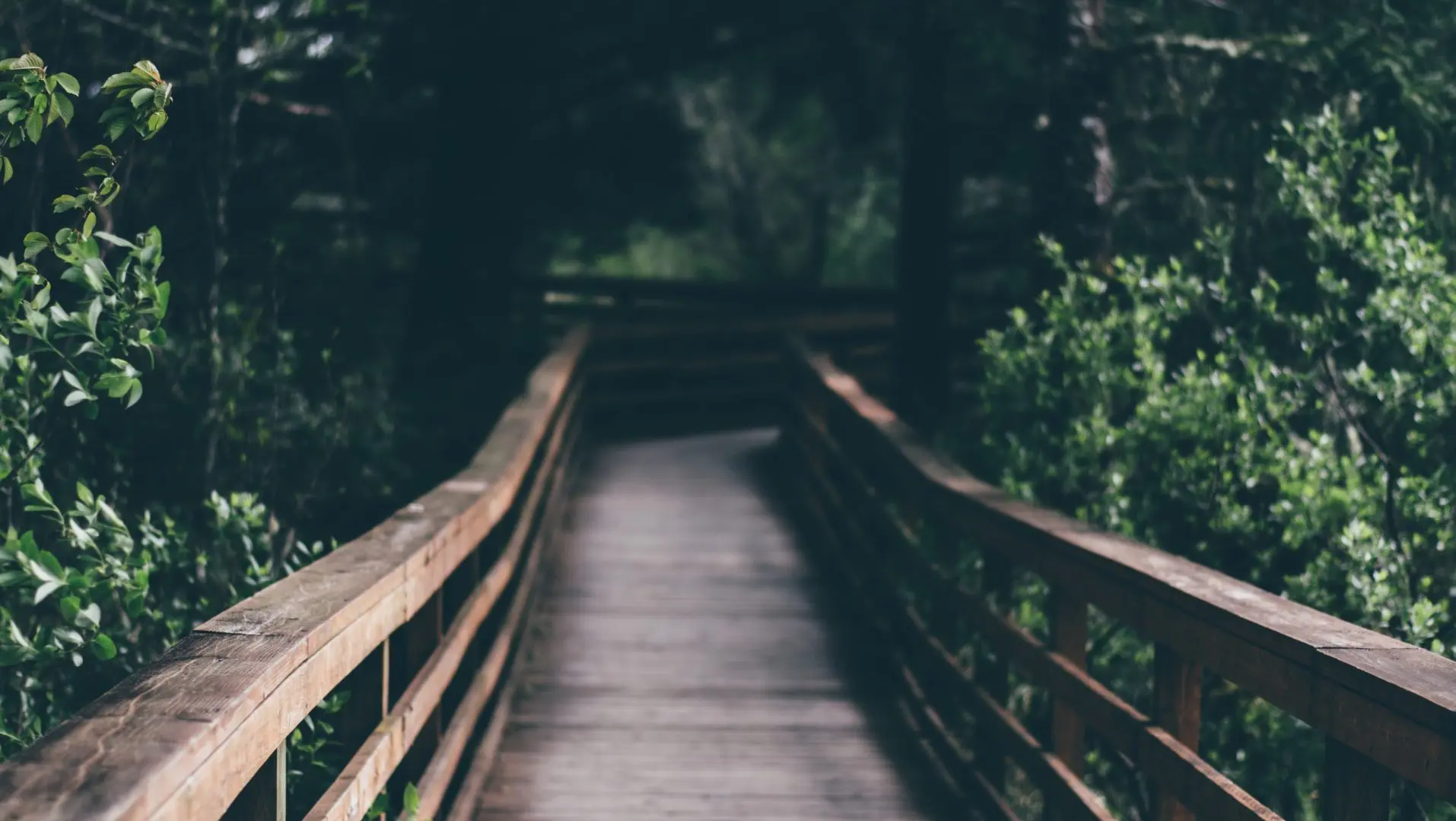 interior banner image